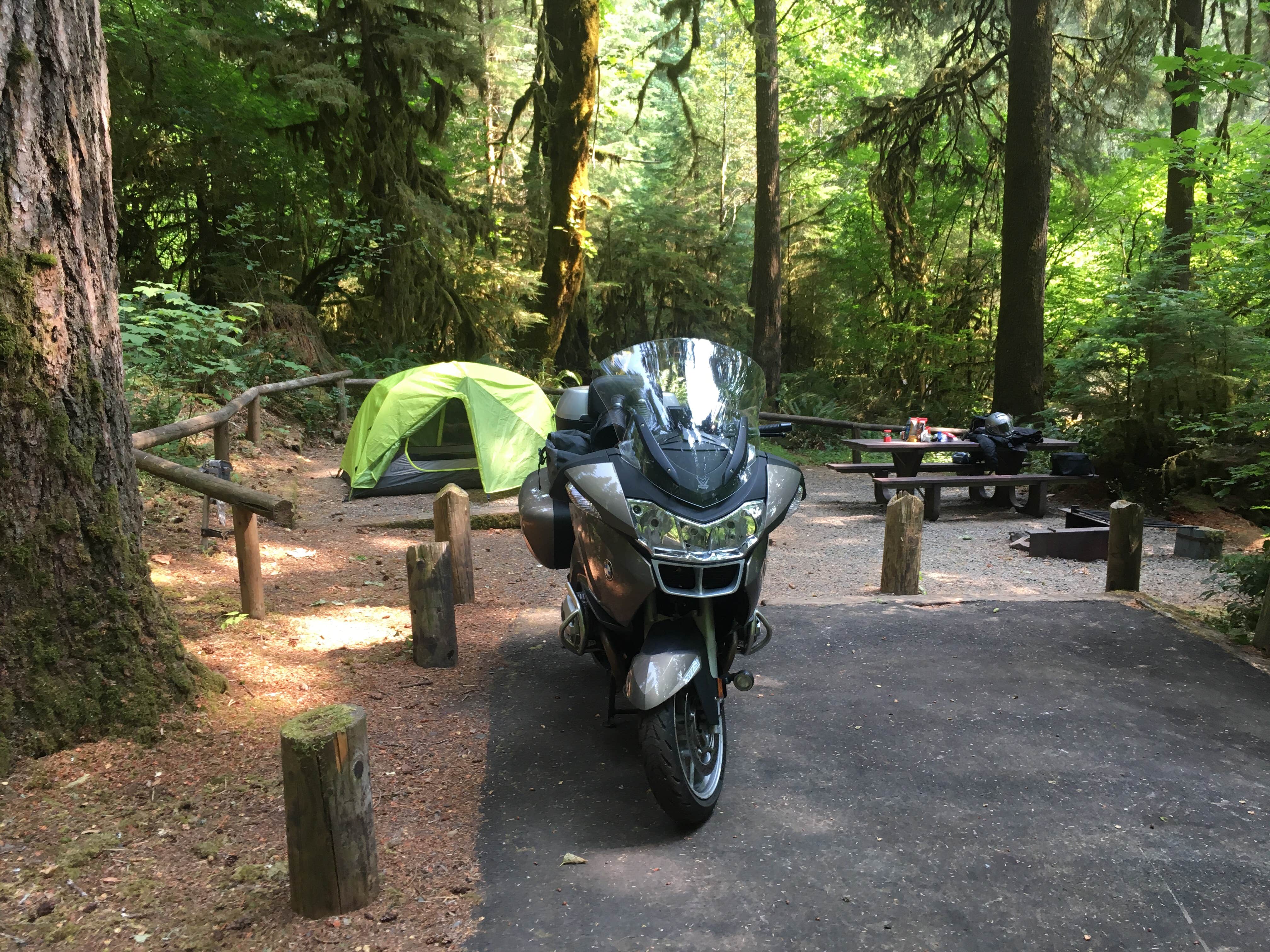 Camper submitted image from Yellowbottom Recreation Site — Quartzville Creek Wild And Scenic River - 4