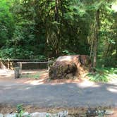 Review photo of Yellowbottom Recreation Site — Quartzville Creek Wild And Scenic River by Darrin M., August 29, 2018