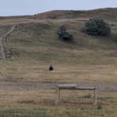 Review photo of Sage Creek Campground by Kayla B., August 29, 2018