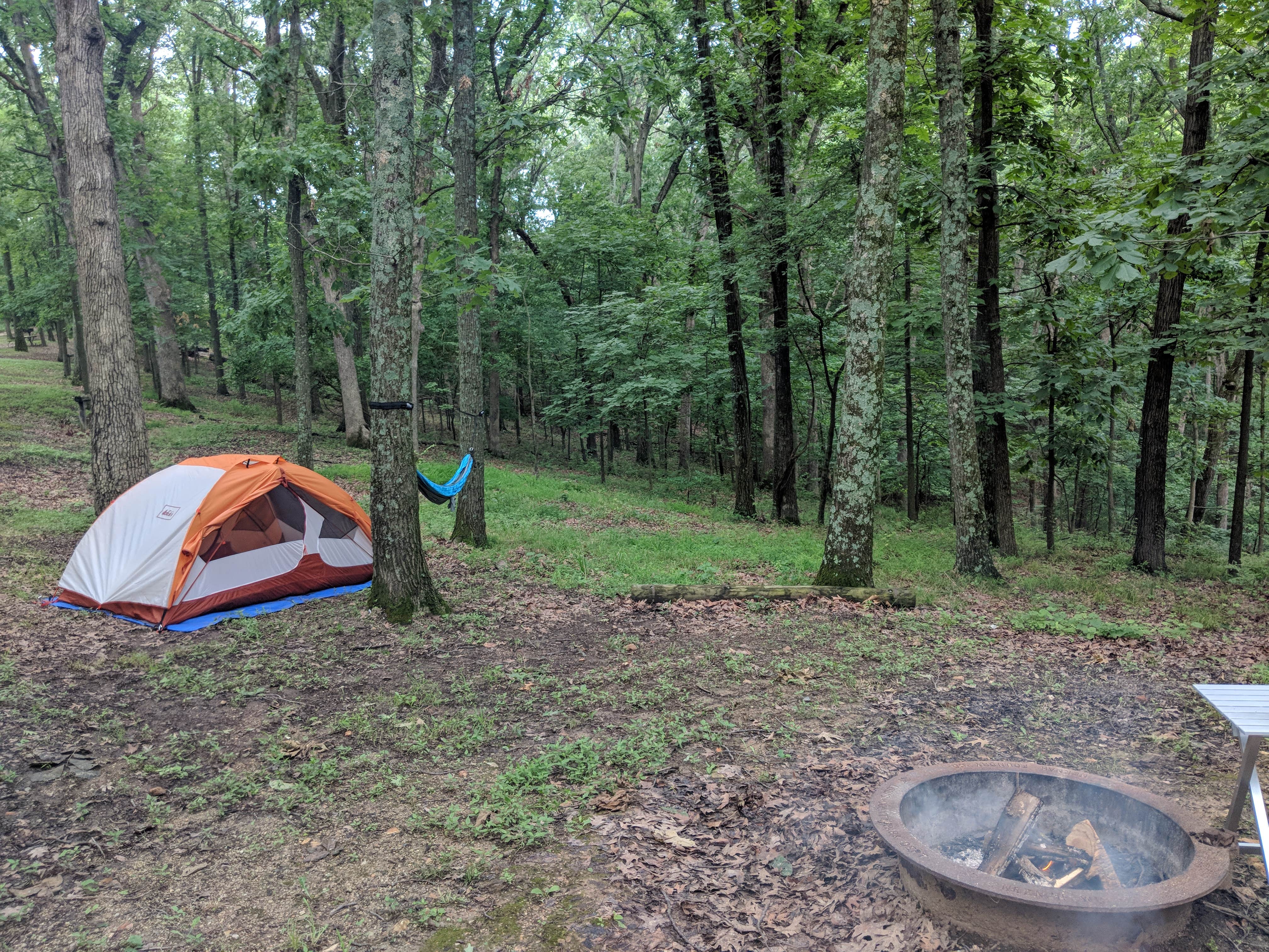 Kayla B.'s photo at Greensfelder County Park near Normandy, MO