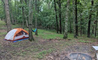 Kayla B.'s photo at Greensfelder County Park near University City, MO