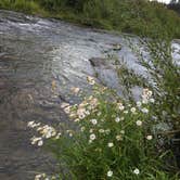 Review photo of Tumalo State Park Campground by Lisa A., August 29, 2018