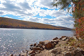 Camper submitted image from Thunder Bay River State Forest Campground - 3