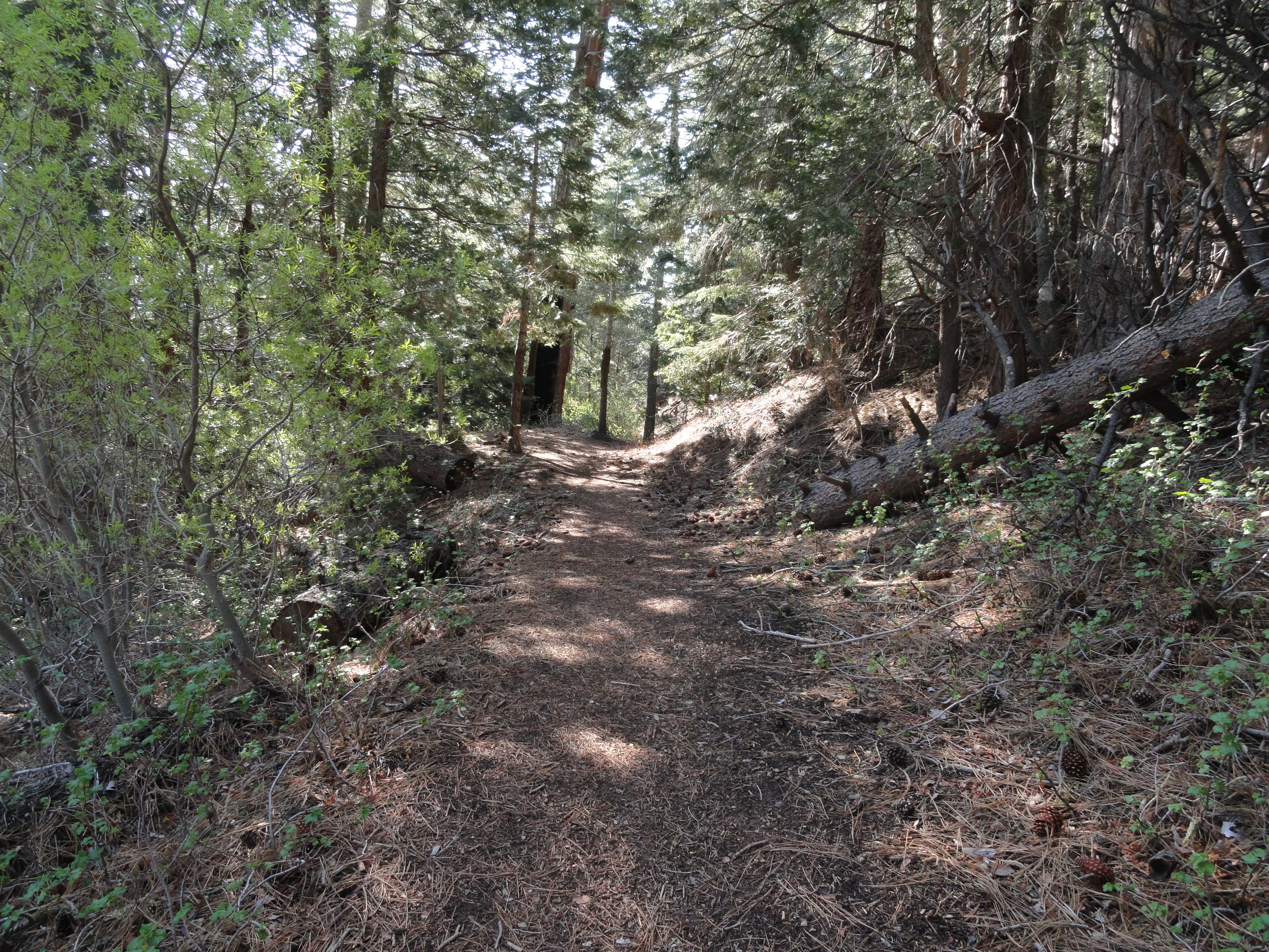 Camper submitted image from Montana Gulch - 3