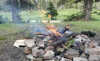 Melani T.'s photo at Lone Branch near La Vergne, TN
