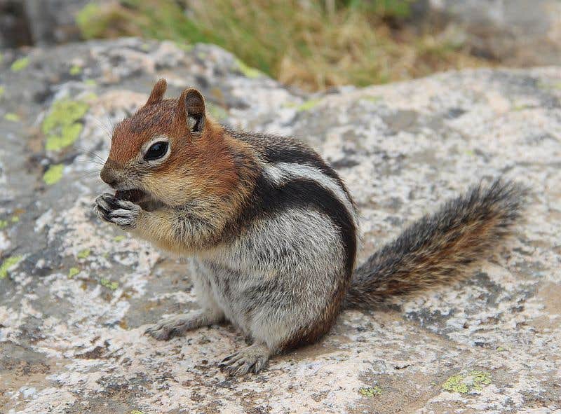 Camper-submitted photo at Lone Branch near Springfield, TN