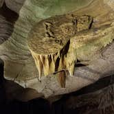 Review photo of Raccoon Mountain Caverns and Campground by Malaney H., August 29, 2018