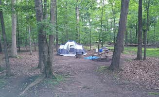 Charyssa G.'s photo at Bull Run Regional Park near Oakton, VA