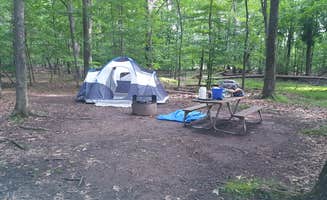 Charyssa G.'s photo at Bull Run Regional Park near Catharpin, VA