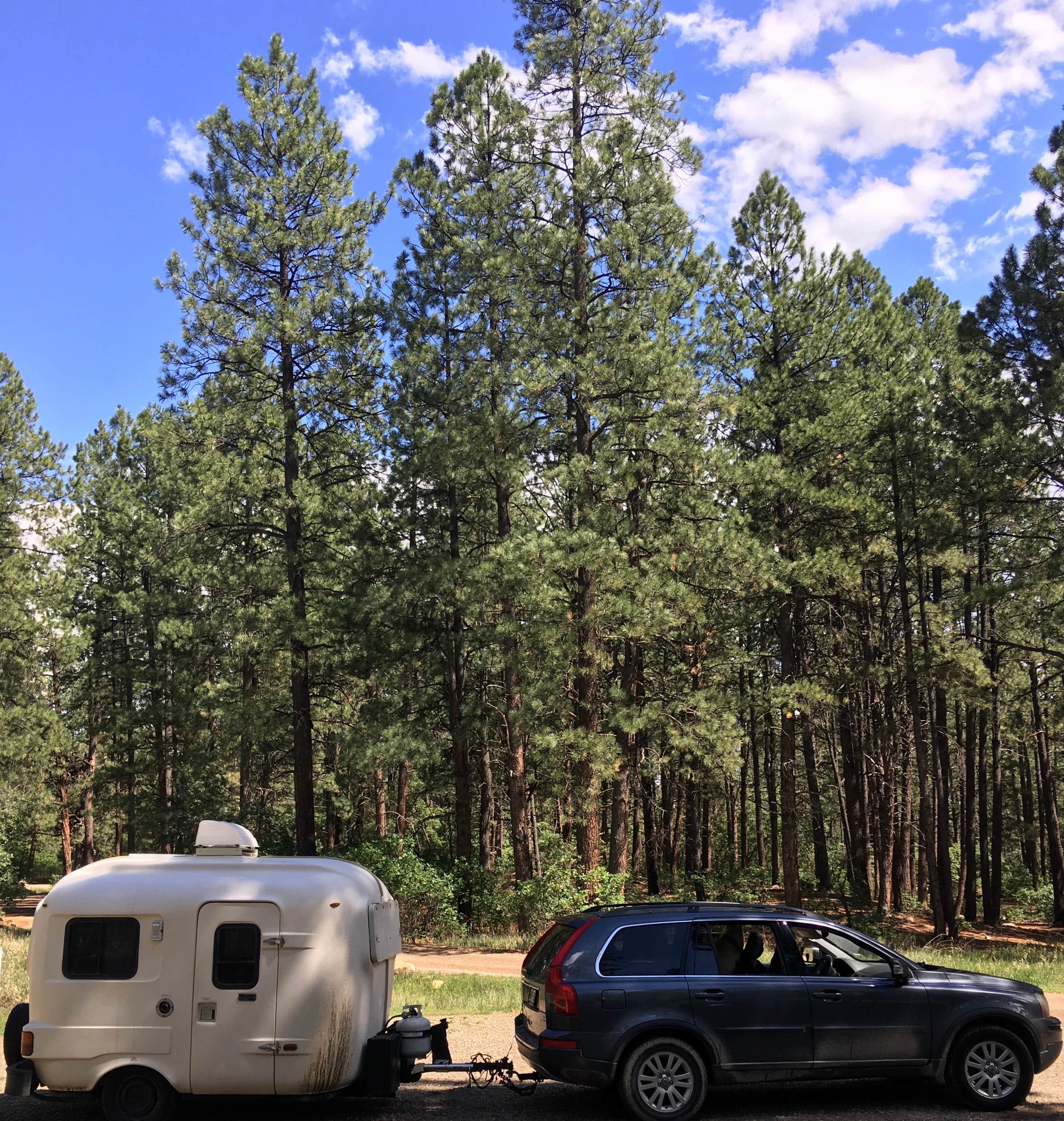 Camper-submitted photo at Junction Creek Campground near San Juan National Forest