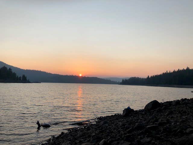 Camper submitted image from East Meadow Campground - 4