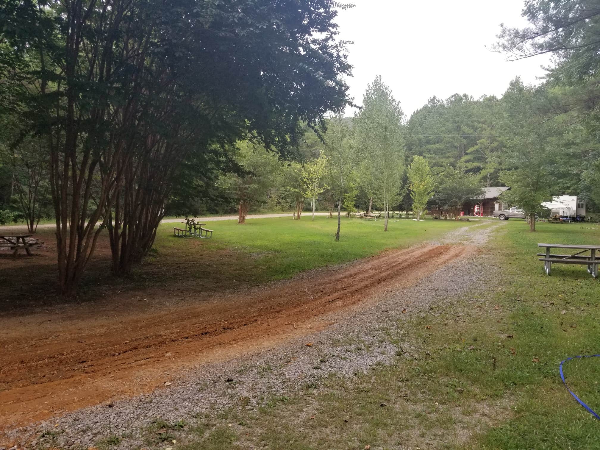 Camper submitted image from Cathedral Caverns State Park Campground - 5