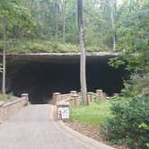 Review photo of Cathedral Caverns State Park Campground by Malaney H., August 29, 2018