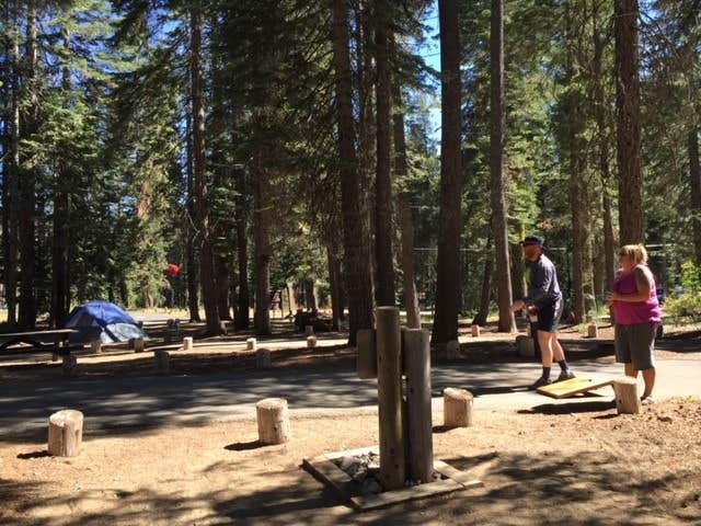 Camper submitted image from Haskins Valley Campground - 2