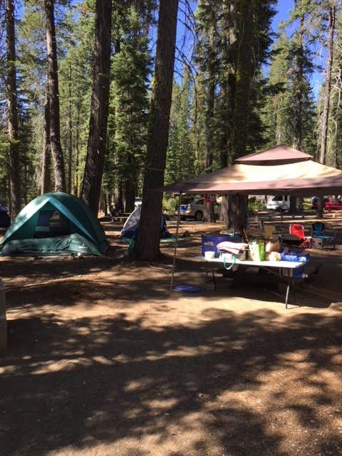 Camper-submitted photo at Haskins Valley Campground near Berry Creek, CA