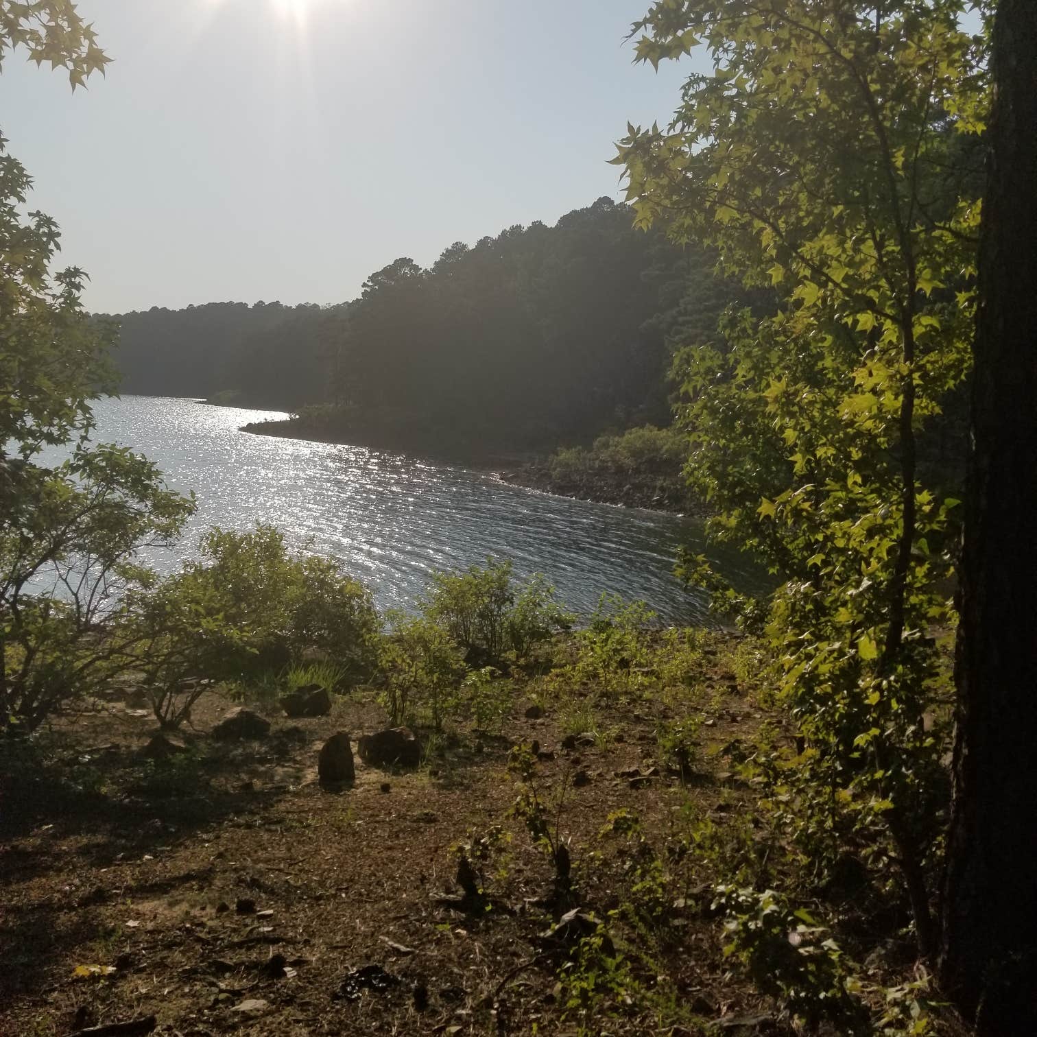 Iron Mountain Camping The Dyrt