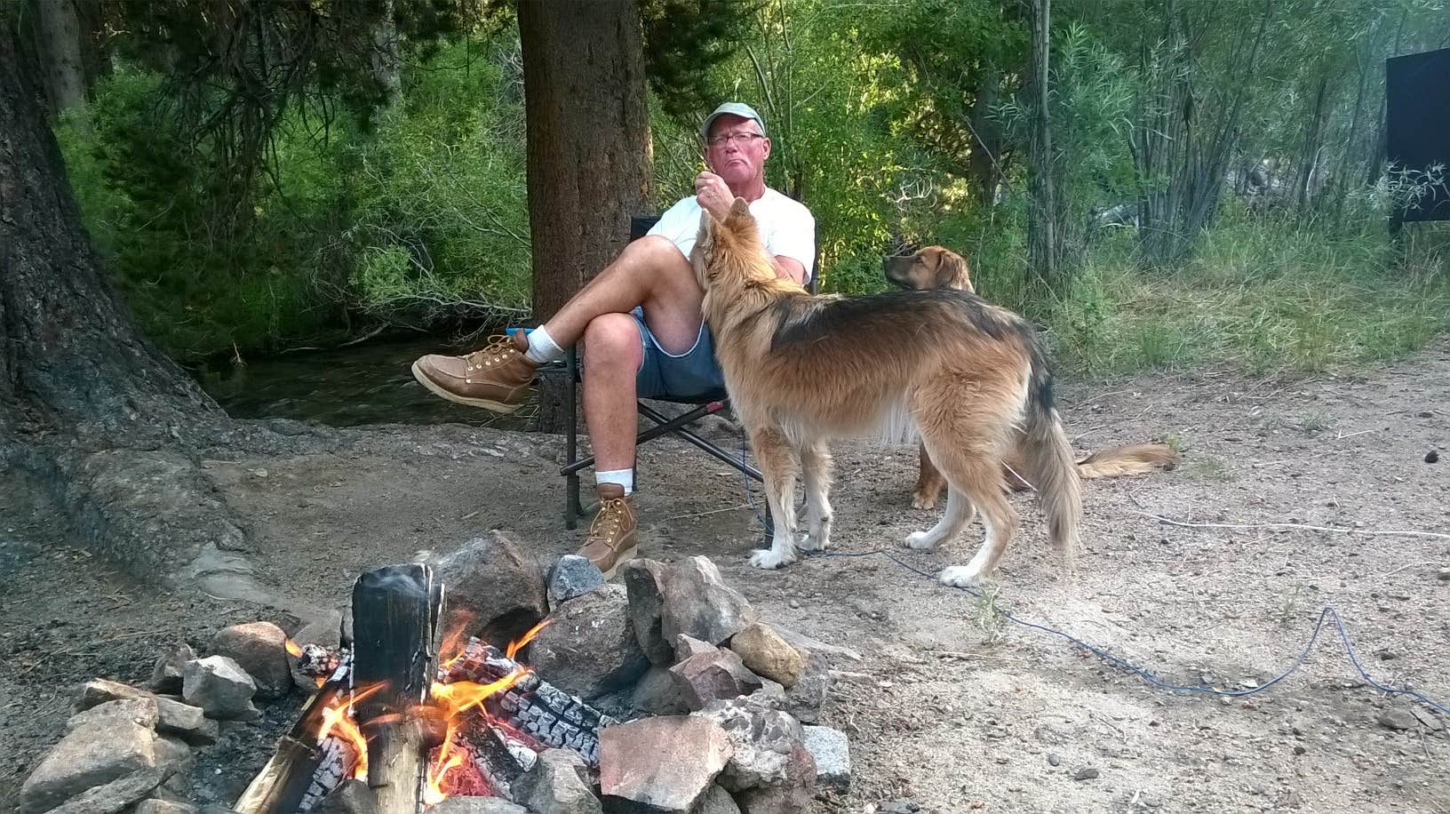 Gary R.'s photo of camping with pets at Moraine Overflow Campground near Yosemite Valley, CA