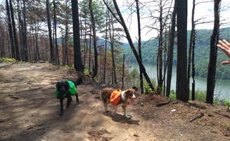 Jennifer T.'s photo of camping with pets at Tallulah Gorge State Park Campground near Baldwin, GA