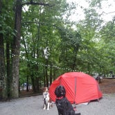 Review photo of Tallulah Gorge State Park Campground by Jennifer T., August 29, 2018