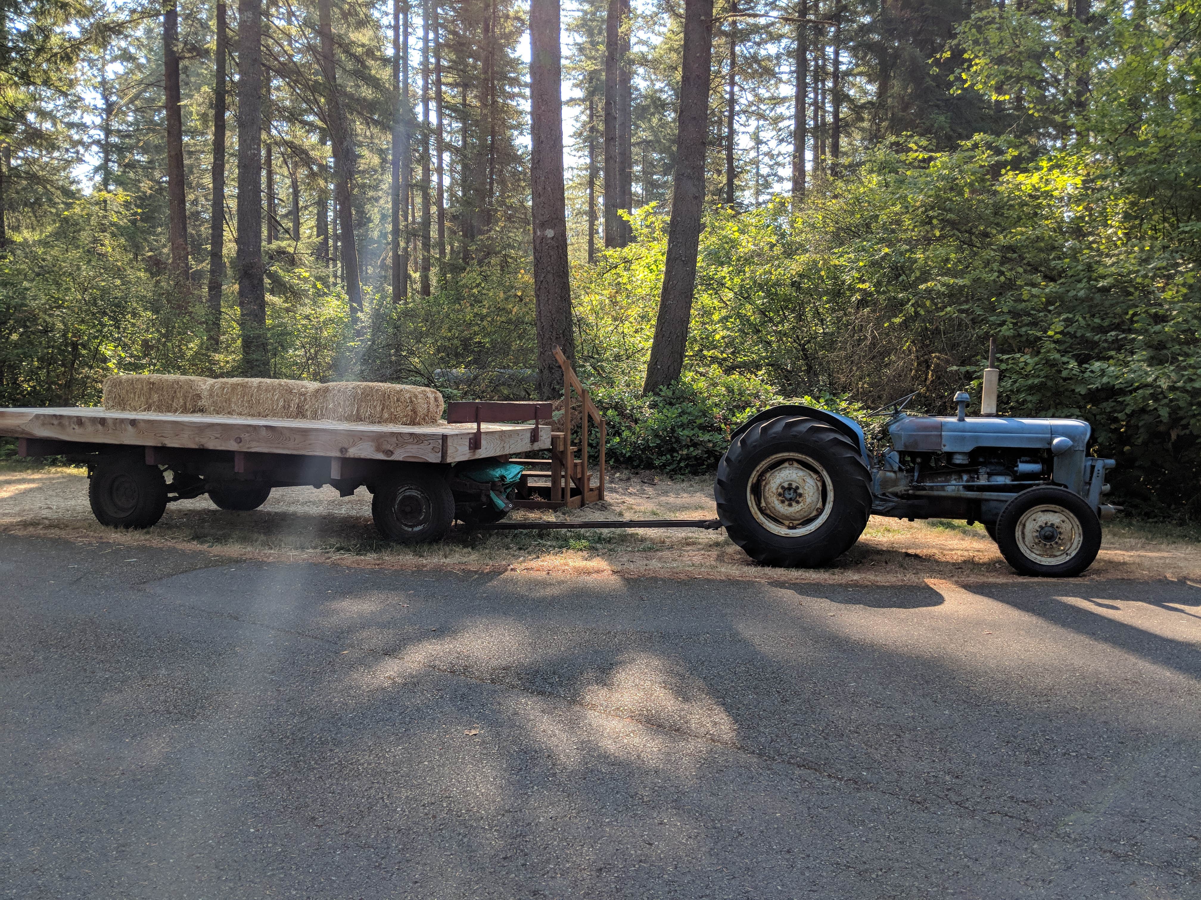 Camper-submitted photo at American Heritage Campground near DuPont, WA