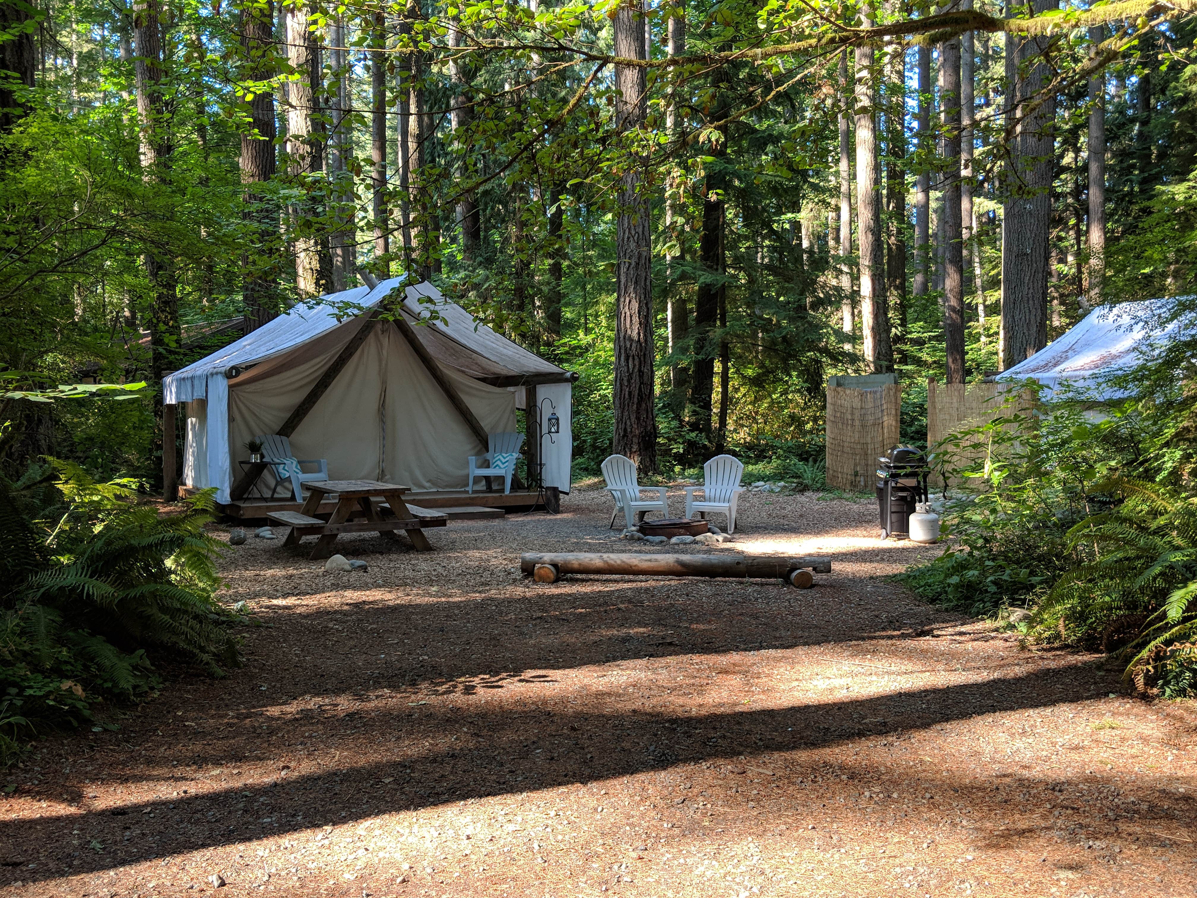 Mary C.'s photo at Millersylvania State Park Campground near Roy, WA