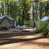 Review photo of Millersylvania State Park Campground by Mary C., August 29, 2018