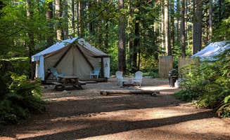 Mary C.'s photo at Millersylvania State Park Campground near Bucoda, WA