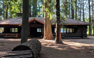 Mary C.'s photo of a cabin at Millersylvania State Park Campground near Ashford, WA