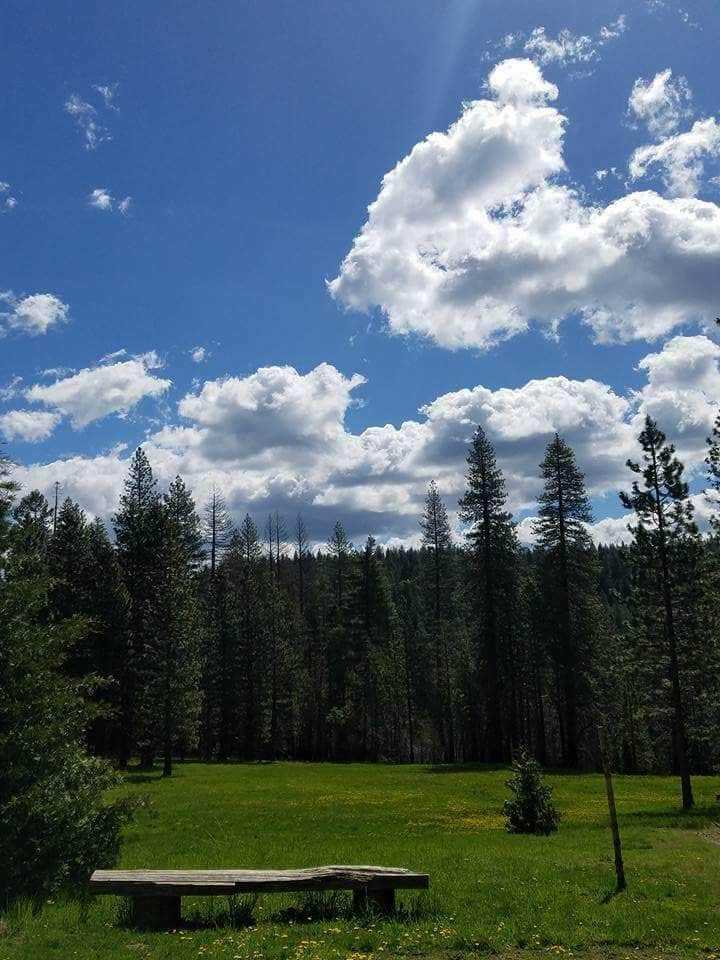 Camper-submitted photo at Uncle Tom's Cabin Campground near Georgetown, CA