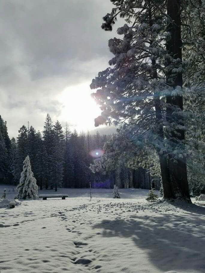 Camper-submitted photo at Uncle Tom's Cabin Campground near Georgetown, CA