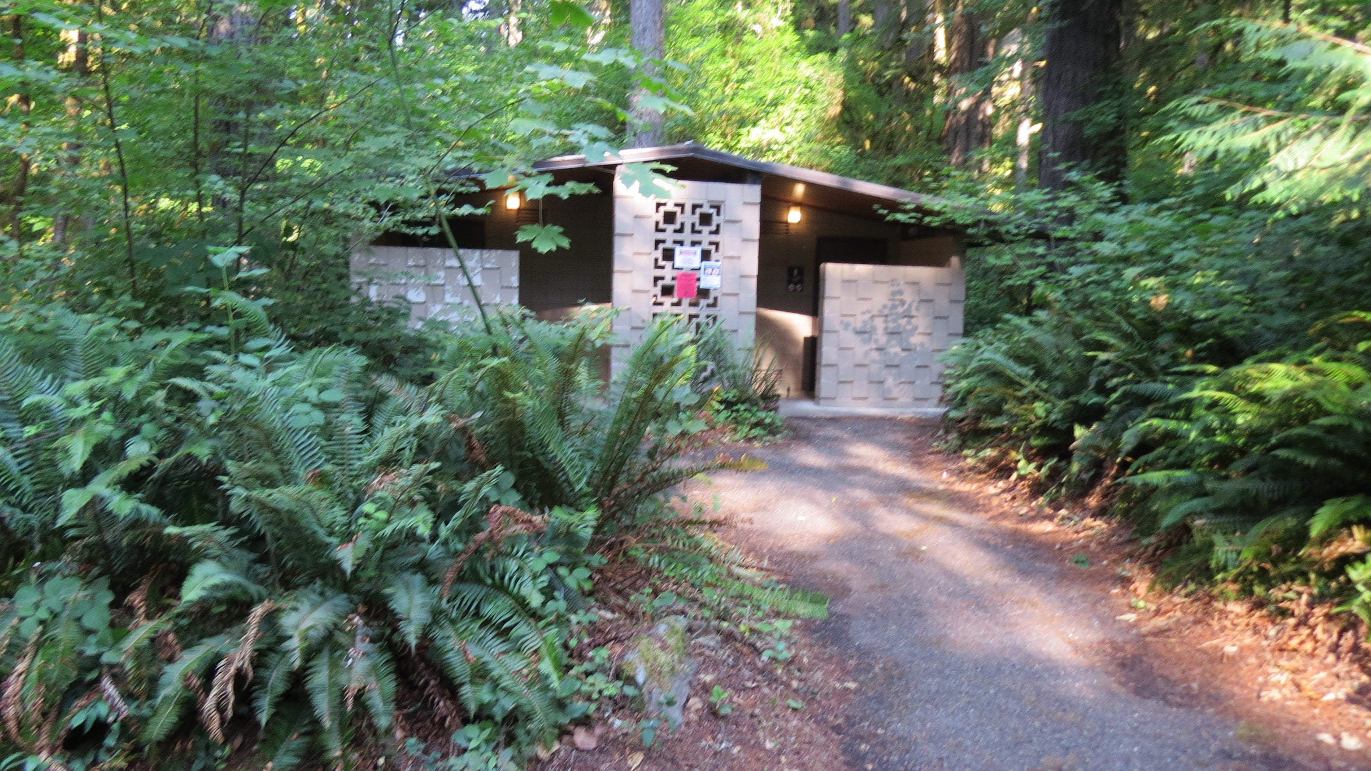 Camper submitted image from Cascadia State Park Campground - 3