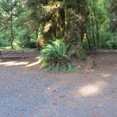 Review photo of Cascadia State Park Campground by Cindy U., August 29, 2018