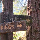 Review photo of Cascadia State Park Campground by Cindy U., August 29, 2018