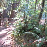 Review photo of House Rock Campground by Cindy U., August 29, 2018