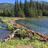Review photo of Riley Creek Campground — Denali National Park by Sally C., August 29, 2018