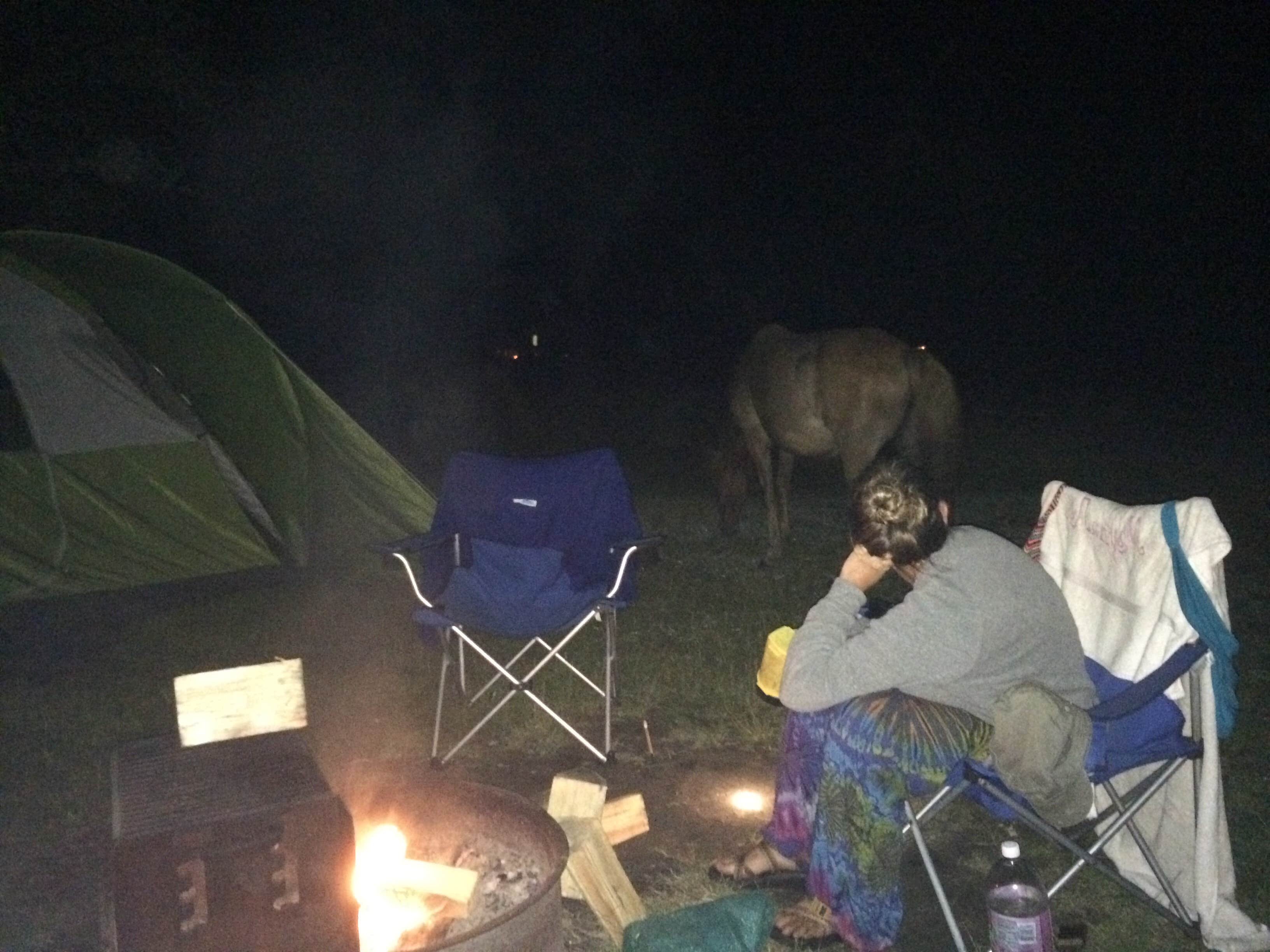 Rosie R.'s photo at Bayside Assateague Campground — Assateague Island National Seashore near Snow Hill, MD