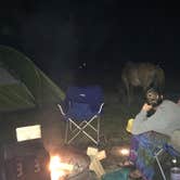 Review photo of Bayside Assateague Campground — Assateague Island National Seashore by Rosie R., August 29, 2018
