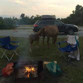 Review photo of Bayside Assateague Campground — Assateague Island National Seashore by Rosie R., August 29, 2018