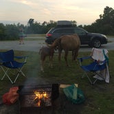 Review photo of Assateague Island National Seashore Campground by Rosie R., August 29, 2018