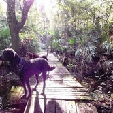 Review photo of Little Manatee River State Park Campground by Jennifer T., August 29, 2018