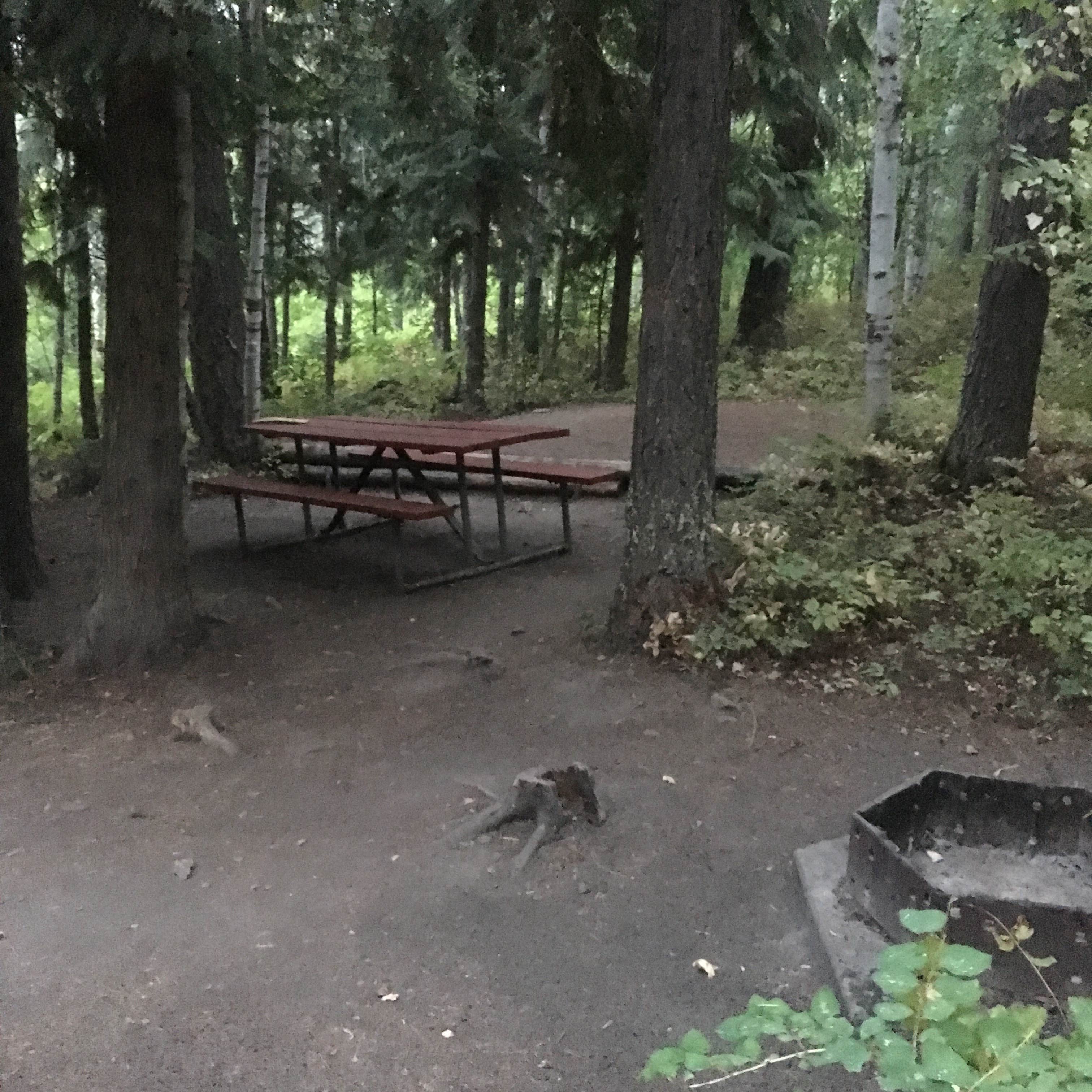 The campsites for tent camping are also spacious, secluded, and shady