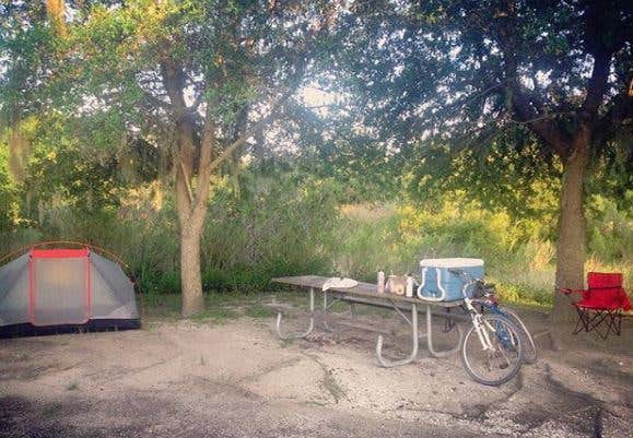 Jennifer T.'s photo at Alafia River State Park Campground near Elkton, FL