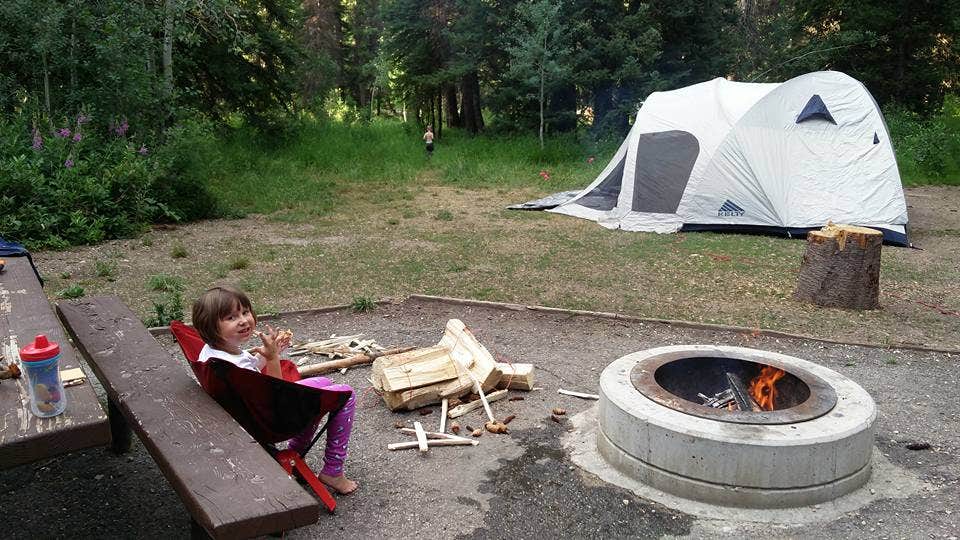 Camper submitted image from Spruces - Big Cottonwood - 3