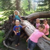 Review photo of Spruces - Big Cottonwood by Jason H., August 29, 2018