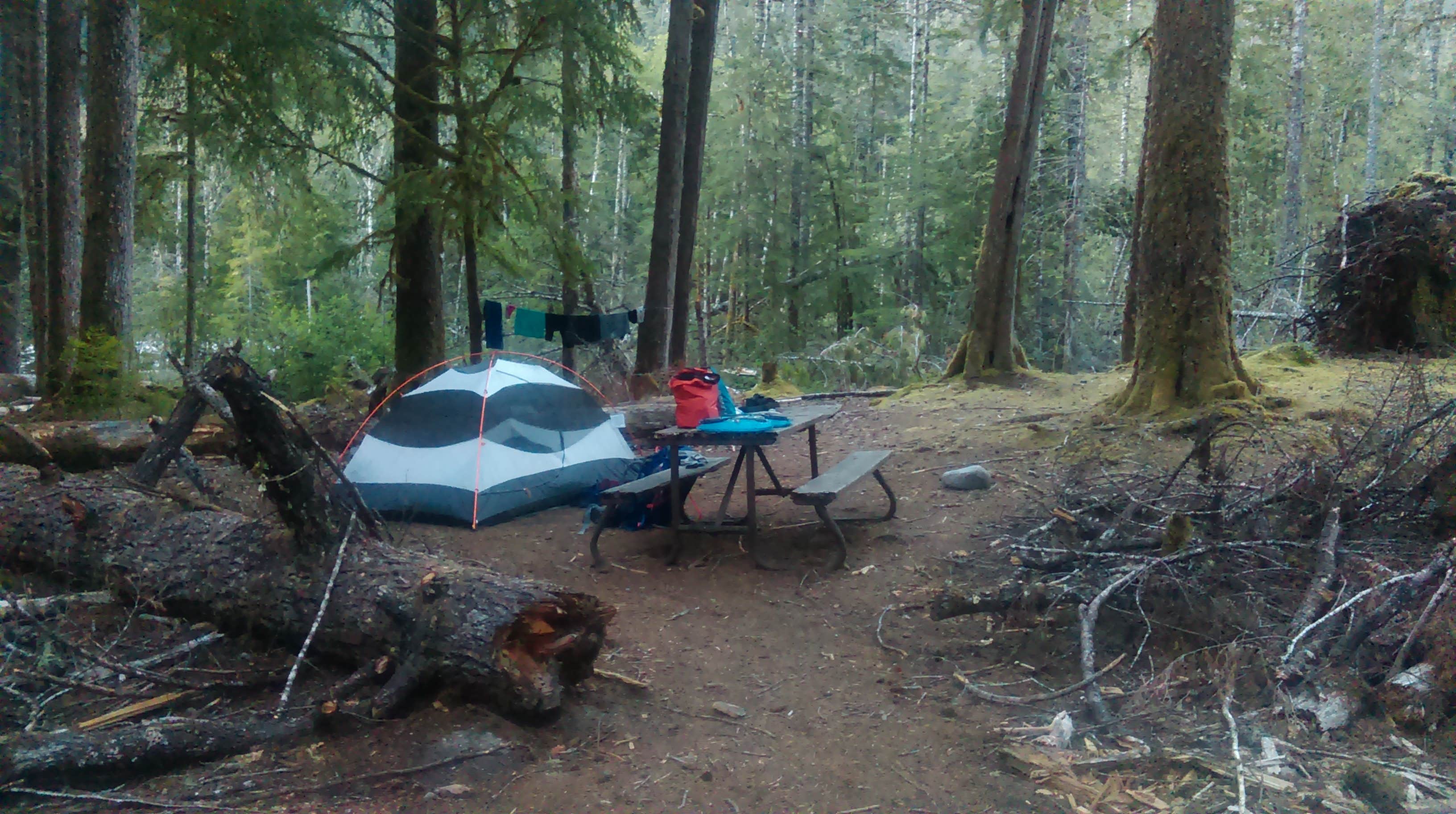 Danielle S.'s photo of a dispersed camping area at Ipsut Creek Camp — Mount Rainier National Park near Enumclaw, WA