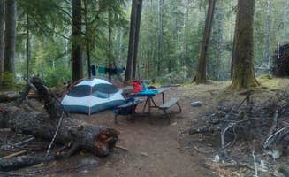 Danielle S.'s photo at Ipsut Creek Camp — Mount Rainier National Park near Enumclaw, WA