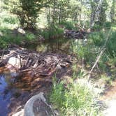 Review photo of Wasatch National Forest Soapstone Campground by Jason H., August 29, 2018