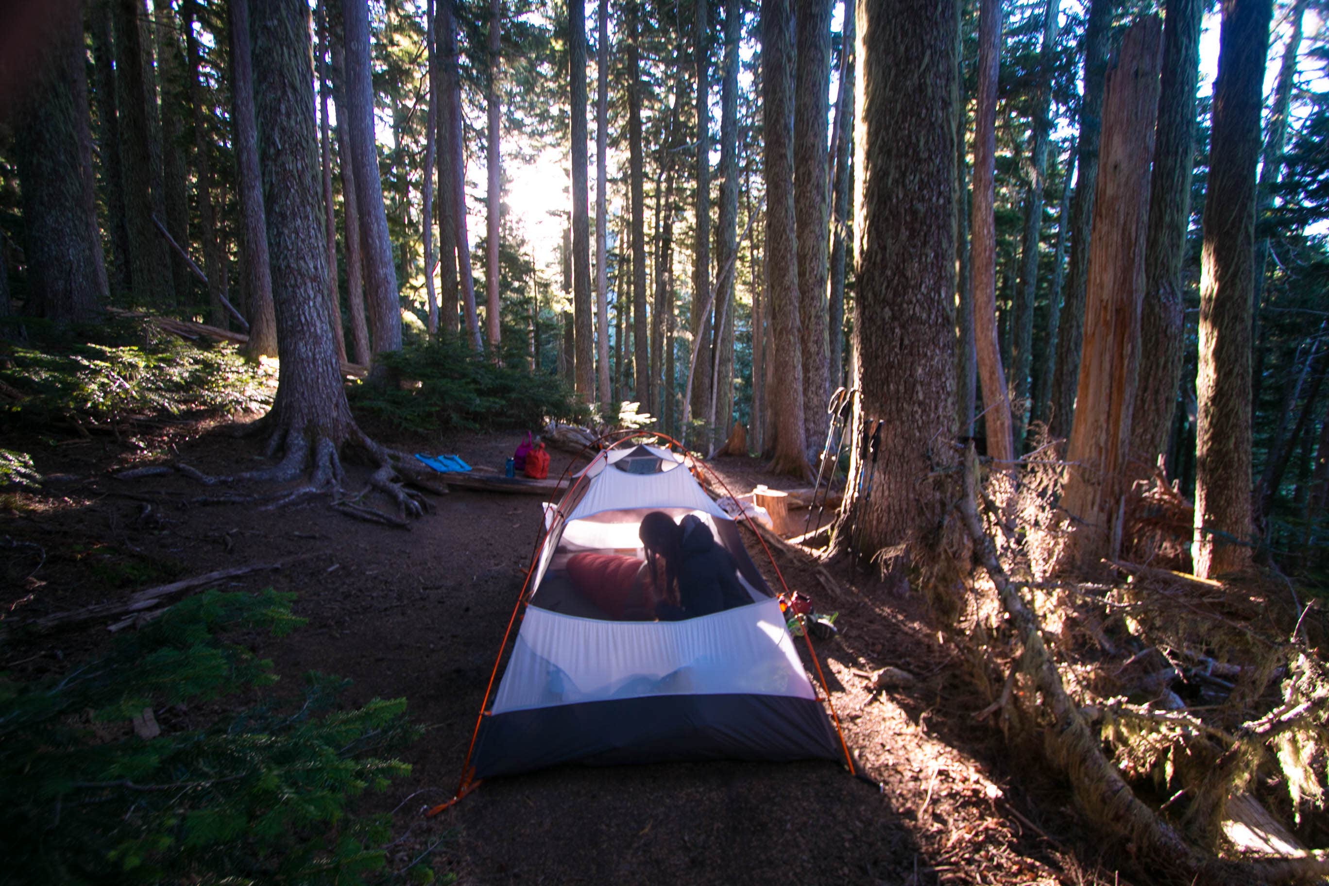 Danielle S.'s photo of tent camping at Eagles Roost Camp — Mount Rainier National Park near Auburn, WA