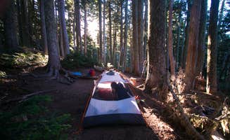Danielle S.'s photo at Eagles Roost Camp — Mount Rainier National Park near Enumclaw, WA