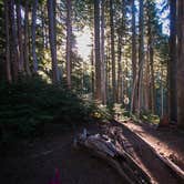 Review photo of Eagles Roost Camp — Mount Rainier National Park by Danielle S., August 29, 2018